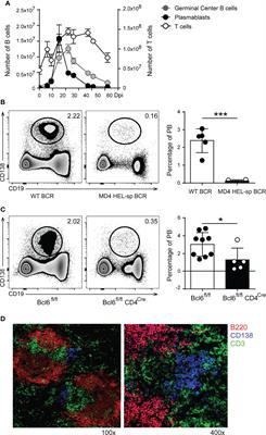 Extrafollicular Plasmablasts Present in the Acute Phase of Infections Express High Levels of PD-L1 and Are Able to Limit T Cell Response